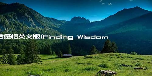 生活感悟英文版(Finding Wisdom in Daily Life Reflections on Everyday Experiences)